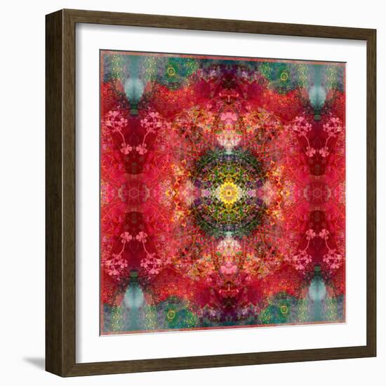 An Energetic Symmetric Onament from Flower Photographs-Alaya Gadeh-Framed Photographic Print