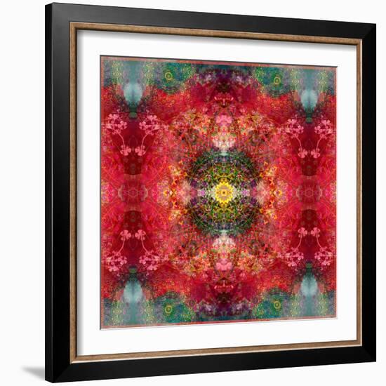 An Energetic Symmetric Onament from Flower Photographs-Alaya Gadeh-Framed Photographic Print