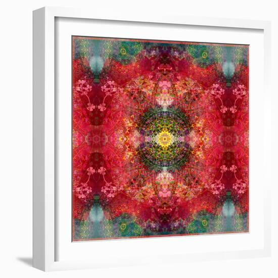 An Energetic Symmetric Onament from Flower Photographs-Alaya Gadeh-Framed Photographic Print