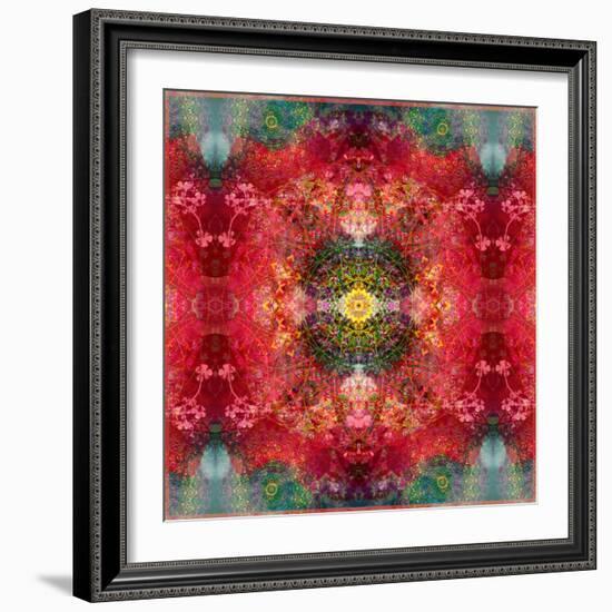 An Energetic Symmetric Onament from Flower Photographs-Alaya Gadeh-Framed Photographic Print