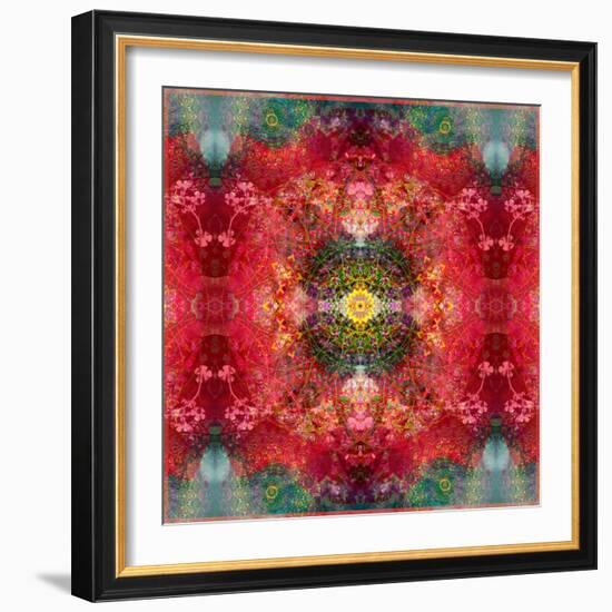 An Energetic Symmetric Onament from Flower Photographs-Alaya Gadeh-Framed Photographic Print