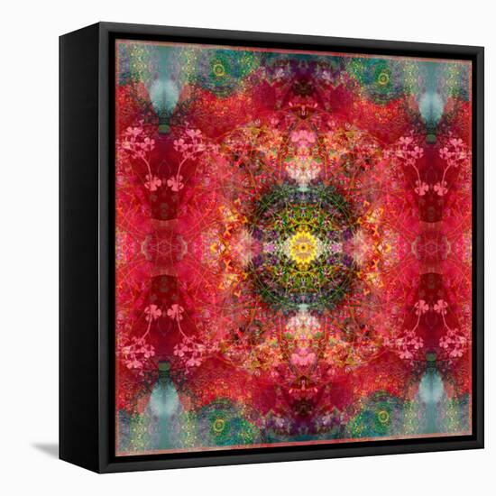 An Energetic Symmetric Onament from Flower Photographs-Alaya Gadeh-Framed Premier Image Canvas