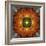 An Energetic Symmetric Onament from Flower Photographs-Alaya Gadeh-Framed Photographic Print