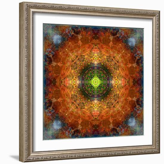 An Energetic Symmetric Onament from Flower Photographs-Alaya Gadeh-Framed Photographic Print