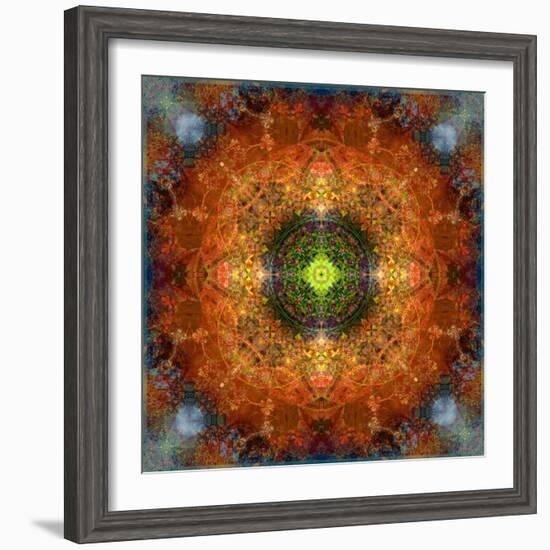 An Energetic Symmetric Onament from Flower Photographs-Alaya Gadeh-Framed Photographic Print