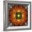 An Energetic Symmetric Onament from Flower Photographs-Alaya Gadeh-Framed Photographic Print