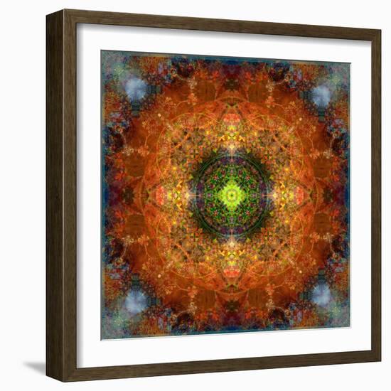 An Energetic Symmetric Onament from Flower Photographs-Alaya Gadeh-Framed Photographic Print