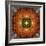 An Energetic Symmetric Onament from Flower Photographs-Alaya Gadeh-Framed Photographic Print