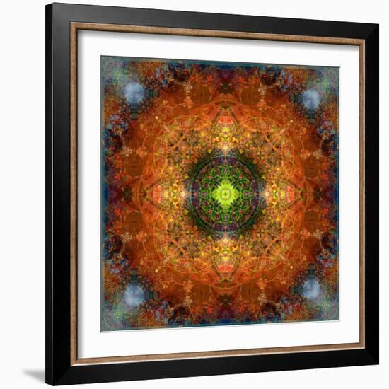 An Energetic Symmetric Onament from Flower Photographs-Alaya Gadeh-Framed Photographic Print