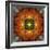 An Energetic Symmetric Onament from Flower Photographs-Alaya Gadeh-Framed Photographic Print