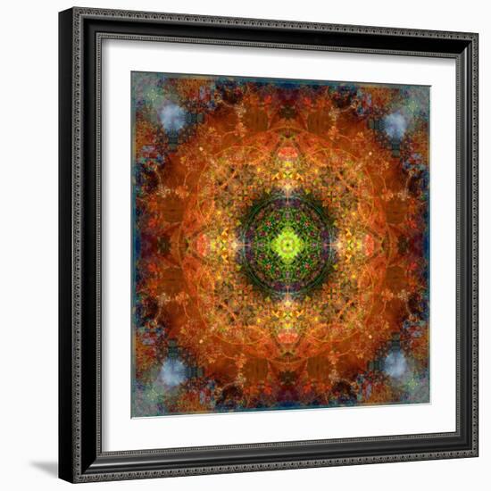 An Energetic Symmetric Onament from Flower Photographs-Alaya Gadeh-Framed Photographic Print