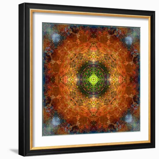 An Energetic Symmetric Onament from Flower Photographs-Alaya Gadeh-Framed Photographic Print