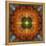 An Energetic Symmetric Onament from Flower Photographs-Alaya Gadeh-Framed Premier Image Canvas