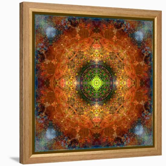 An Energetic Symmetric Onament from Flower Photographs-Alaya Gadeh-Framed Premier Image Canvas