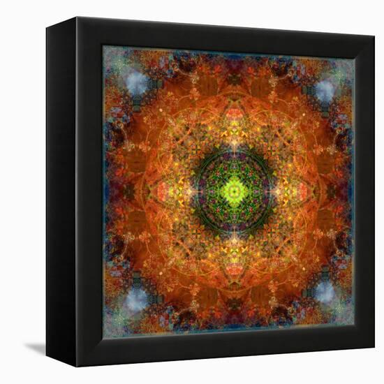 An Energetic Symmetric Onament from Flower Photographs-Alaya Gadeh-Framed Premier Image Canvas