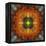 An Energetic Symmetric Onament from Flower Photographs-Alaya Gadeh-Framed Premier Image Canvas