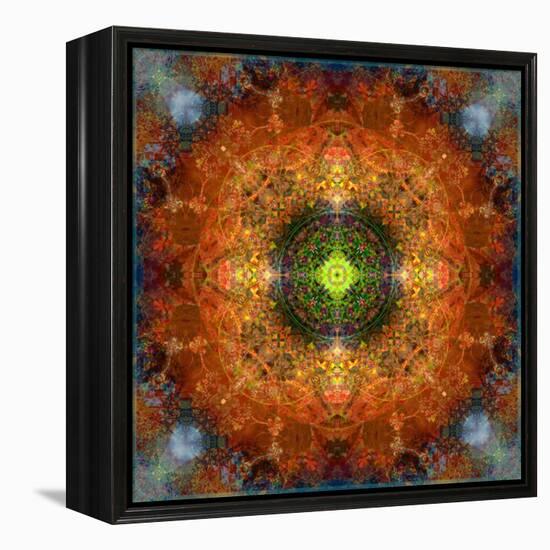 An Energetic Symmetric Onament from Flower Photographs-Alaya Gadeh-Framed Premier Image Canvas