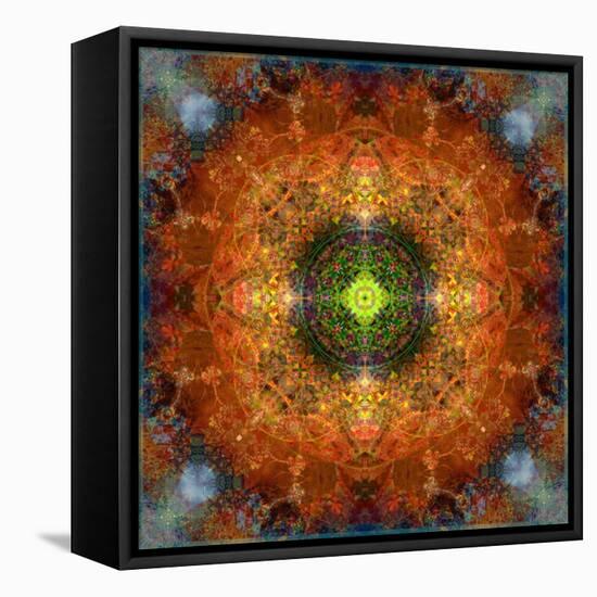 An Energetic Symmetric Onament from Flower Photographs-Alaya Gadeh-Framed Premier Image Canvas