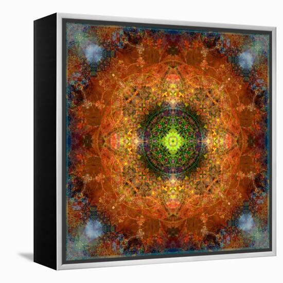 An Energetic Symmetric Onament from Flower Photographs-Alaya Gadeh-Framed Premier Image Canvas