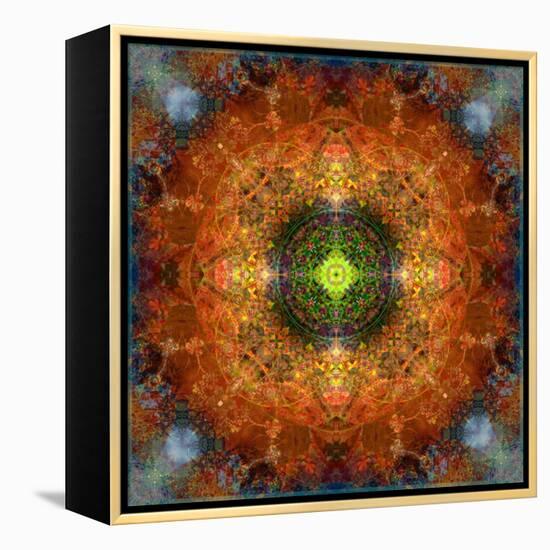 An Energetic Symmetric Onament from Flower Photographs-Alaya Gadeh-Framed Premier Image Canvas