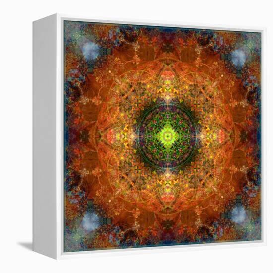 An Energetic Symmetric Onament from Flower Photographs-Alaya Gadeh-Framed Premier Image Canvas