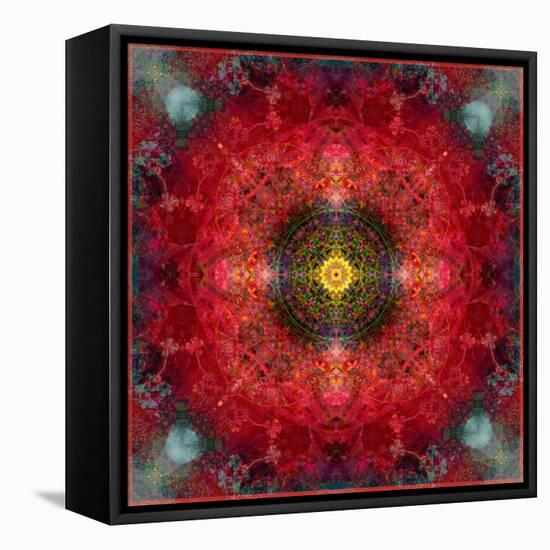 An Energetic Symmetric Onament from Flower Photographs-Alaya Gadeh-Framed Premier Image Canvas