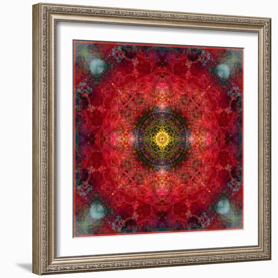 An Energetic Symmetric Onament from Flower Photographs-Alaya Gadeh-Framed Photographic Print