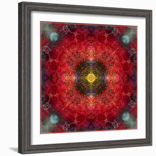 An Energetic Symmetric Onament from Flower Photographs-Alaya Gadeh-Framed Photographic Print