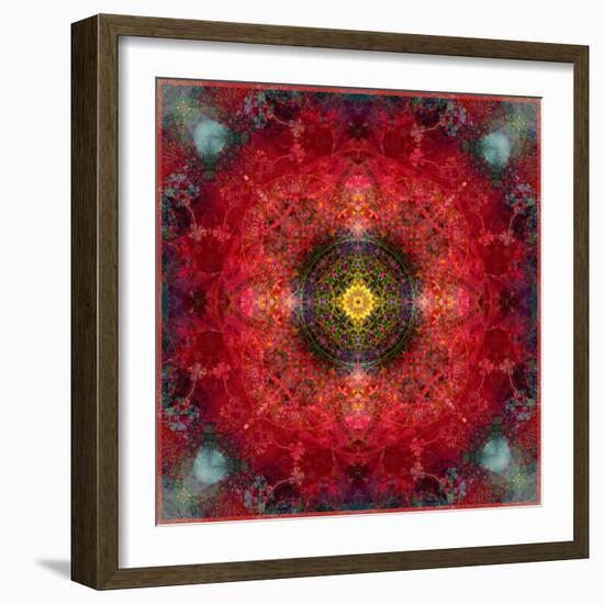 An Energetic Symmetric Onament from Flower Photographs-Alaya Gadeh-Framed Photographic Print