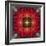 An Energetic Symmetric Onament from Flower Photographs-Alaya Gadeh-Framed Photographic Print