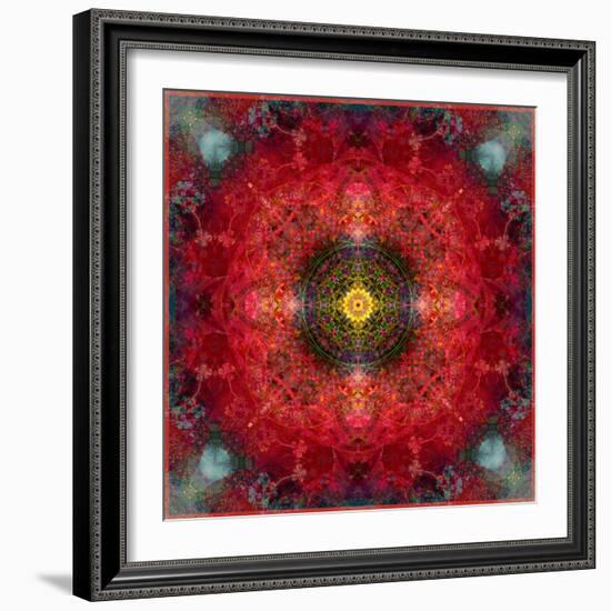 An Energetic Symmetric Onament from Flower Photographs-Alaya Gadeh-Framed Photographic Print