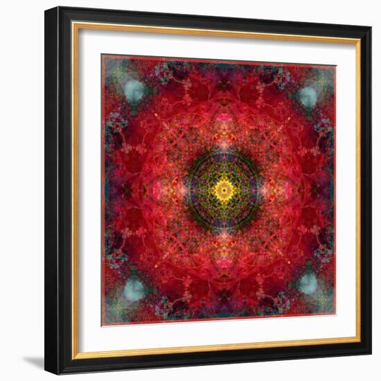 An Energetic Symmetric Onament from Flower Photographs-Alaya Gadeh-Framed Photographic Print