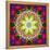 An Energetic Symmetric Onament from Flower Photographs-Alaya Gadeh-Framed Premier Image Canvas