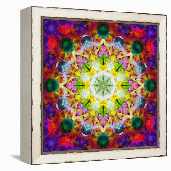 An Energetic Symmetric Onament from Flower Photographs-Alaya Gadeh-Framed Premier Image Canvas