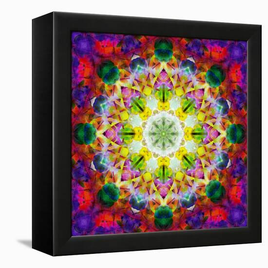 An Energetic Symmetric Onament from Flower Photographs-Alaya Gadeh-Framed Premier Image Canvas