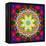 An Energetic Symmetric Onament from Flower Photographs-Alaya Gadeh-Framed Premier Image Canvas