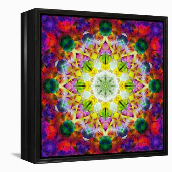 An Energetic Symmetric Onament from Flower Photographs-Alaya Gadeh-Framed Premier Image Canvas