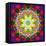 An Energetic Symmetric Onament from Flower Photographs-Alaya Gadeh-Framed Premier Image Canvas