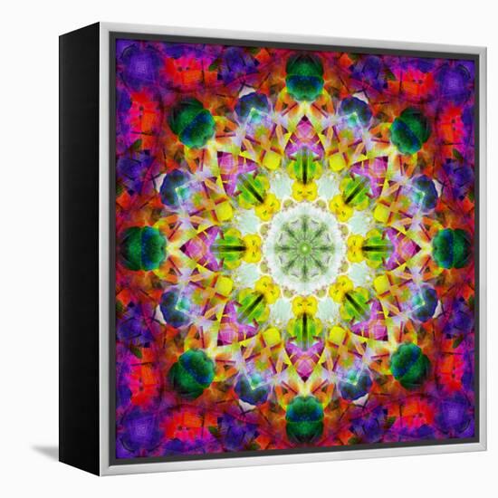 An Energetic Symmetric Onament from Flower Photographs-Alaya Gadeh-Framed Premier Image Canvas