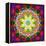 An Energetic Symmetric Onament from Flower Photographs-Alaya Gadeh-Framed Premier Image Canvas