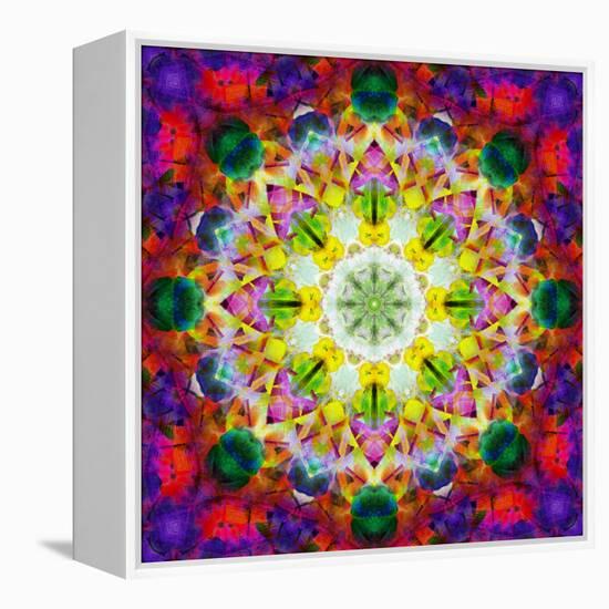 An Energetic Symmetric Onament from Flower Photographs-Alaya Gadeh-Framed Premier Image Canvas