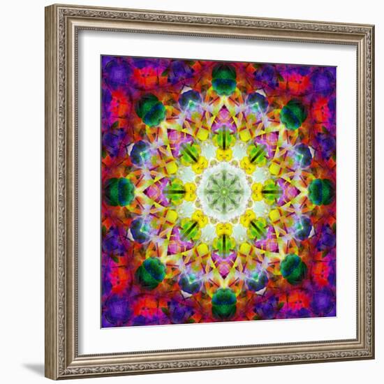 An Energetic Symmetric Onament from Flower Photographs-Alaya Gadeh-Framed Photographic Print