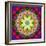 An Energetic Symmetric Onament from Flower Photographs-Alaya Gadeh-Framed Photographic Print