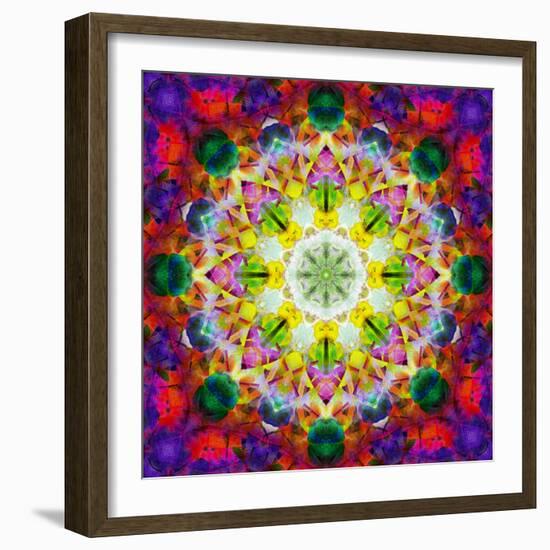 An Energetic Symmetric Onament from Flower Photographs-Alaya Gadeh-Framed Photographic Print