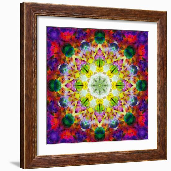 An Energetic Symmetric Onament from Flower Photographs-Alaya Gadeh-Framed Photographic Print