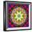 An Energetic Symmetric Onament from Flower Photographs-Alaya Gadeh-Framed Photographic Print