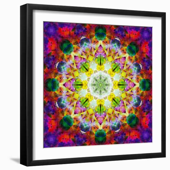 An Energetic Symmetric Onament from Flower Photographs-Alaya Gadeh-Framed Photographic Print