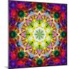 An Energetic Symmetric Onament from Flower Photographs-Alaya Gadeh-Mounted Photographic Print