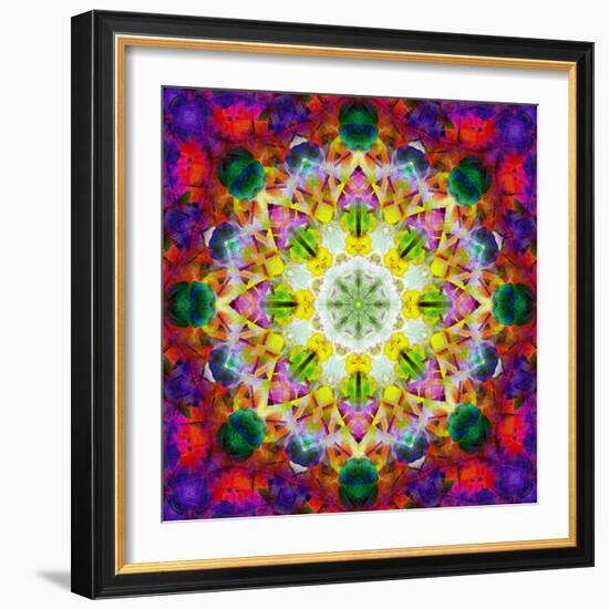 An Energetic Symmetric Onament from Flower Photographs-Alaya Gadeh-Framed Photographic Print