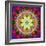 An Energetic Symmetric Onament from Flower Photographs-Alaya Gadeh-Framed Premium Photographic Print